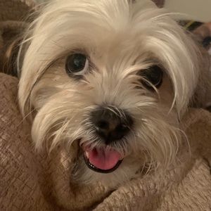 Meet your Posher, Martha